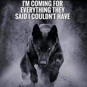 Meet your Posher, Byron